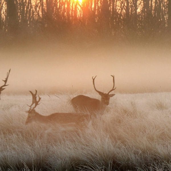 Could 2026 mark a turning point for the UK mortgage market?